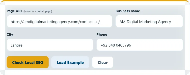 How to use the Local SEO Checker – step 1