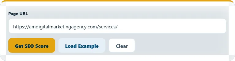 How to use the SEO Score Checker – step 1