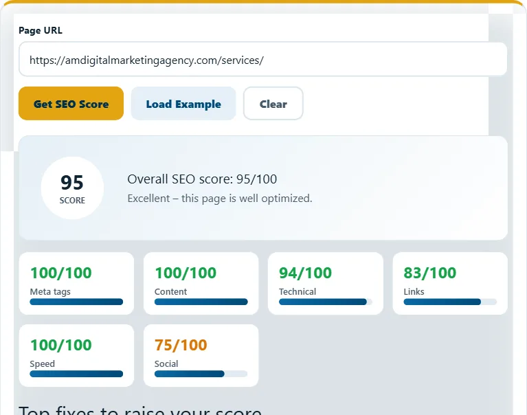 How to use the SEO Score Checker – step 2