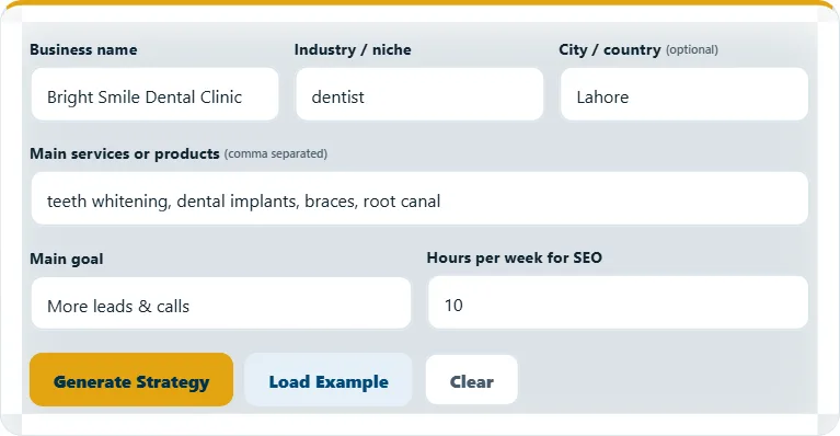 How to use the SEO Strategy Generator – step 1